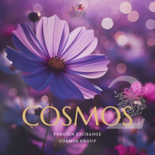 COSMOS GROUP COSMOS２