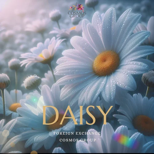DAISY